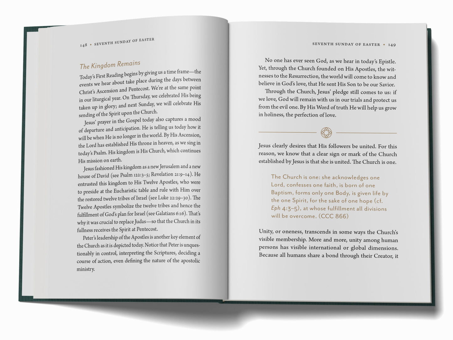 Breaking the Bread:  A Biblical Devotional for Catholics Year B