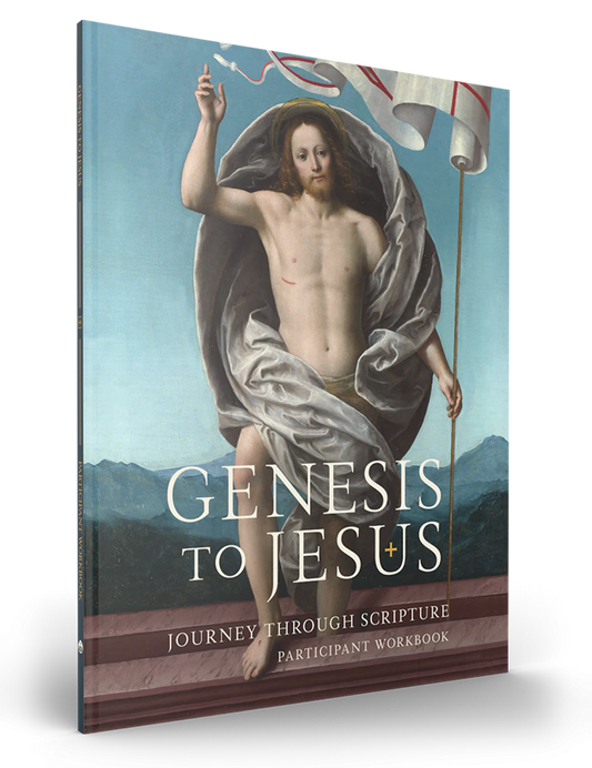 Genesis to Jesus Participant Guide Downloadable PDF