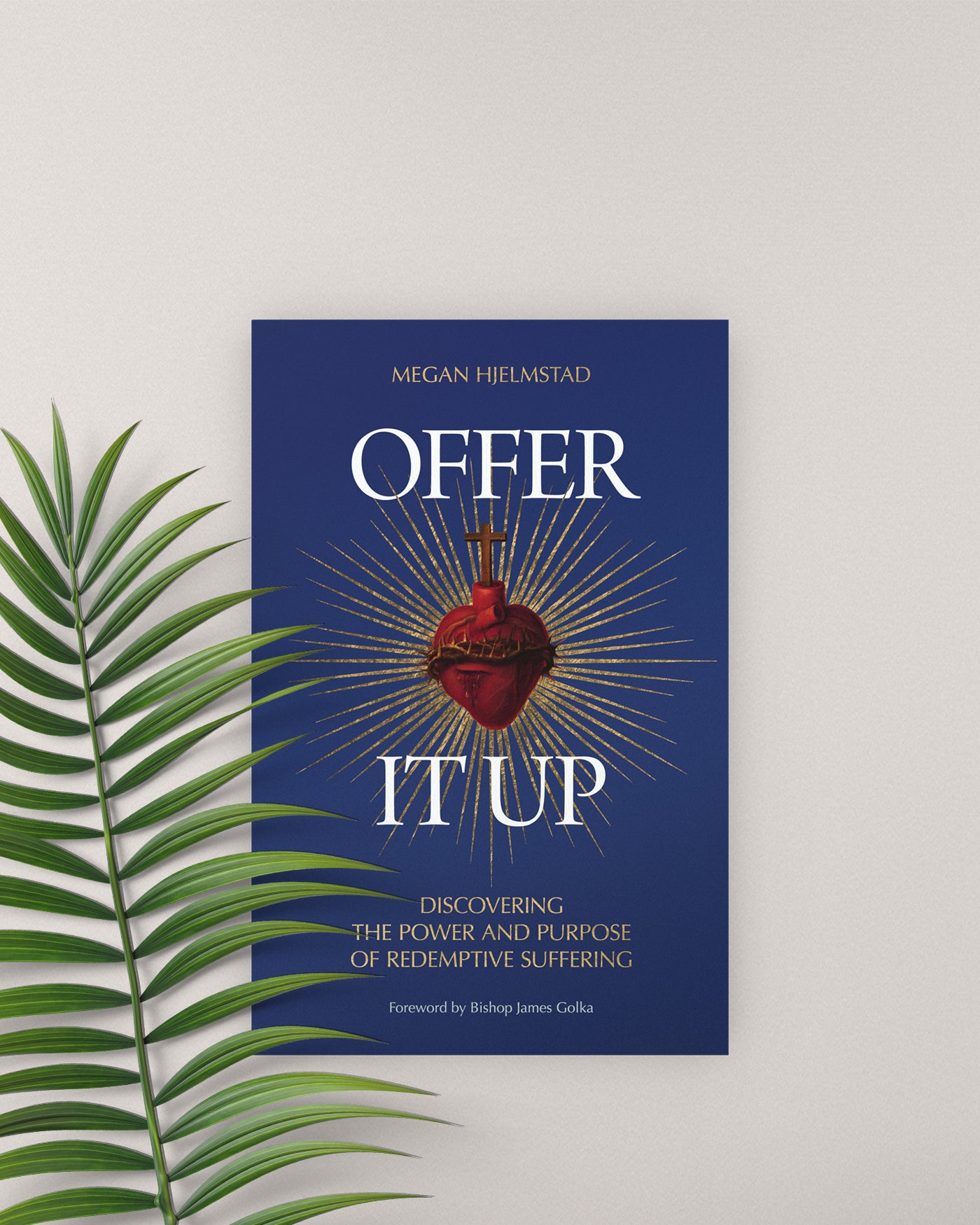 Offer It Up: Discovering the Power and Purpose of Redemptive Suffering